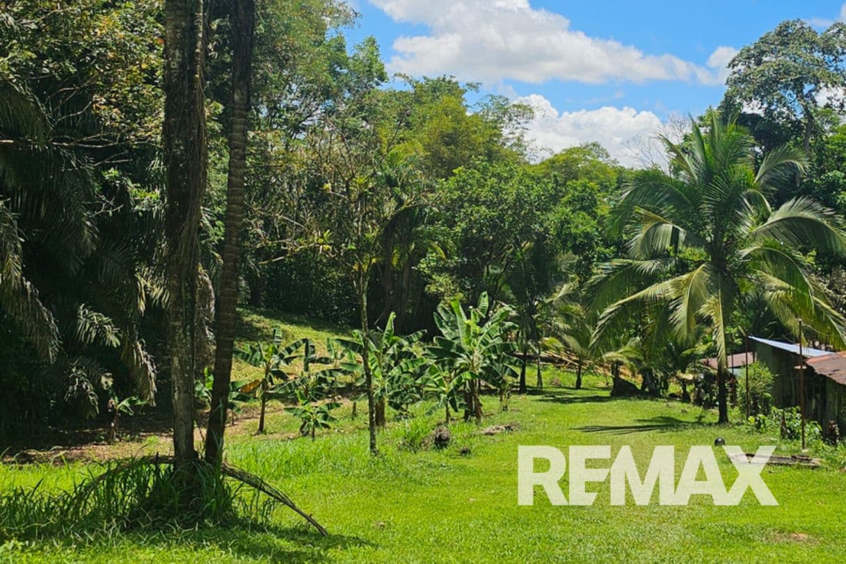 Riverfront Property with Expansion Potential Near La Fortuna – 2,918 m² + Additional 2,000 m² Usage Rights, photo 18
