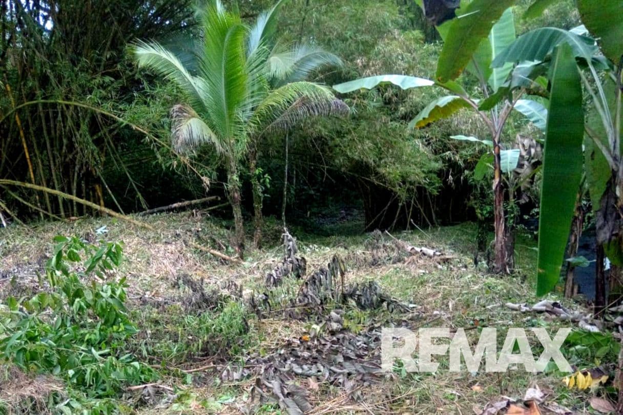 Riverfront Property with Expansion Potential Near La Fortuna – 2,918 m² + Additional 2,000 m² Usage Rights, photo 23