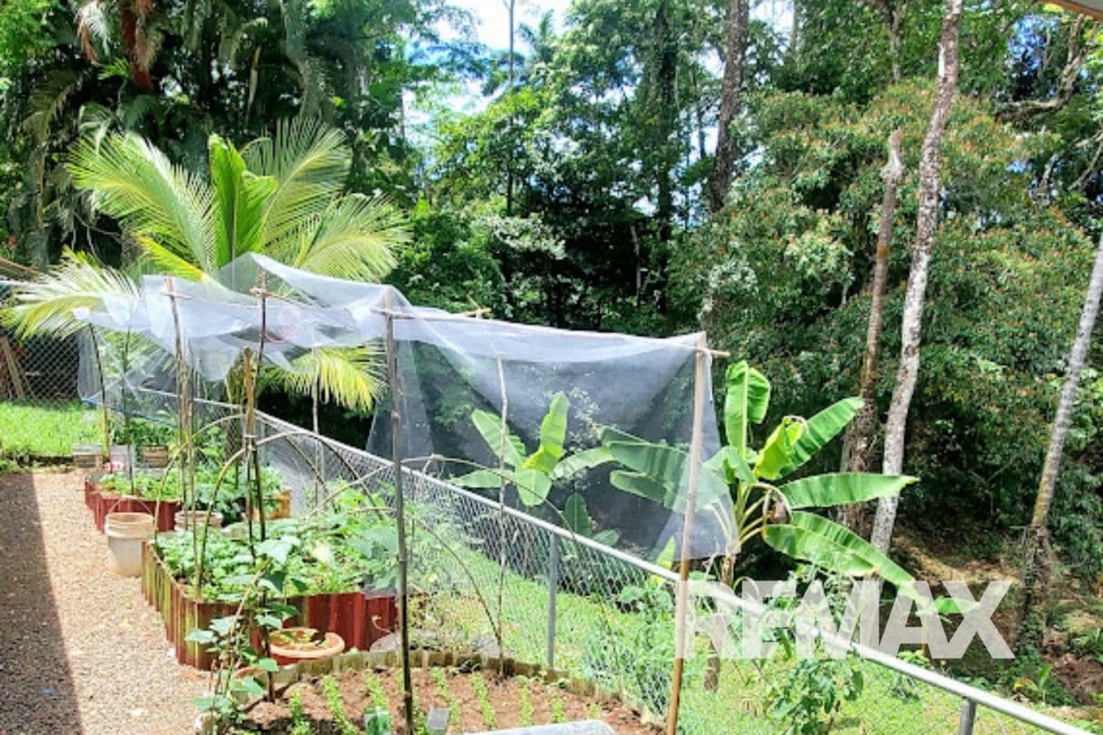Boutique Eco-retreat & Airbnb Business for sale near La Fortuna, photo 33