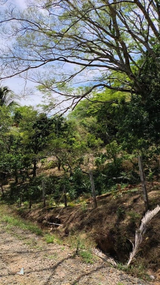 Vacation Property for Sale | Cerro Tobar, Tilarán, Guanacaste, photo 6