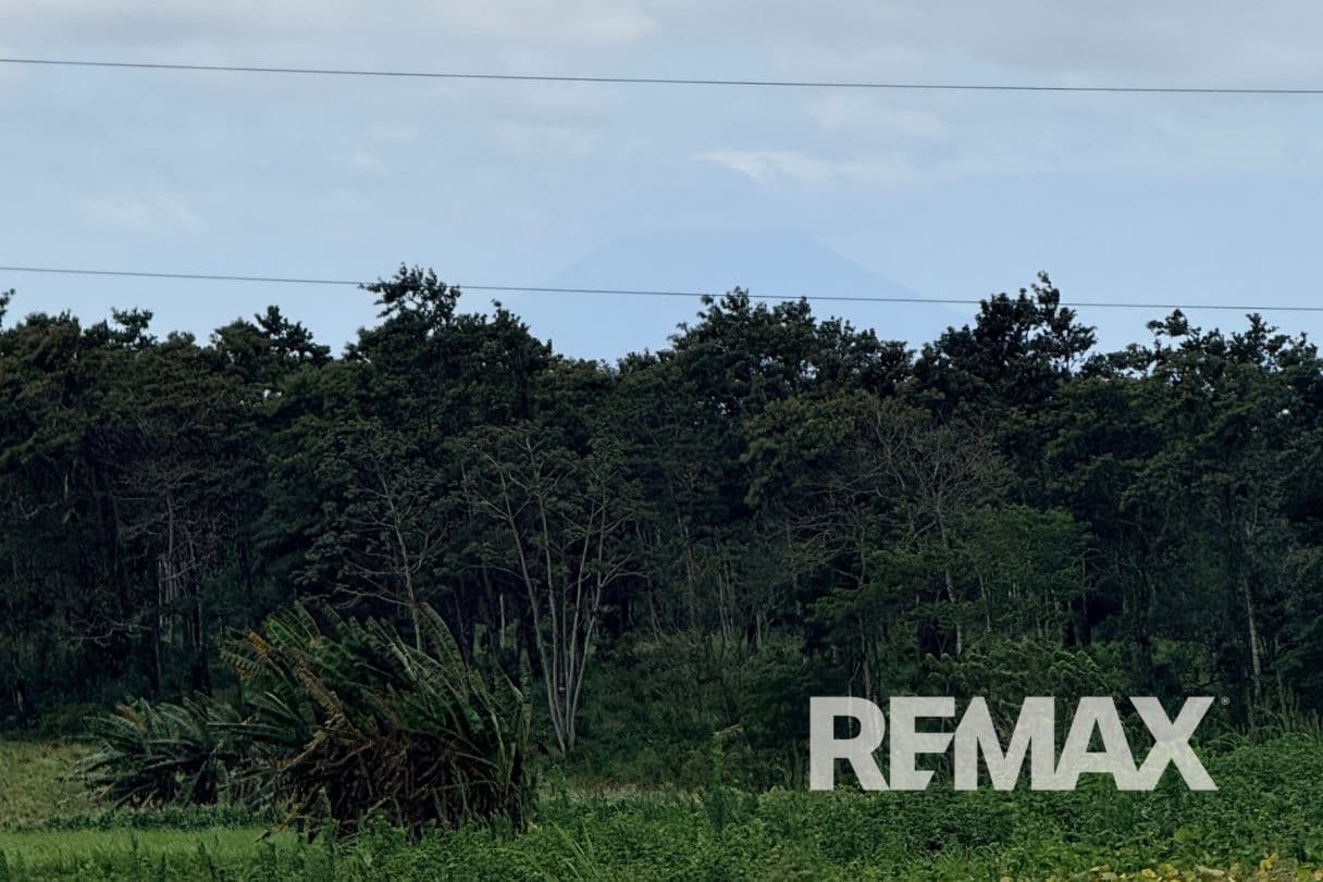PRODUCTIVE FARM FOR SALE IN SANTA CECILIA, LA CRUZ – GUANACASTE, photo 24