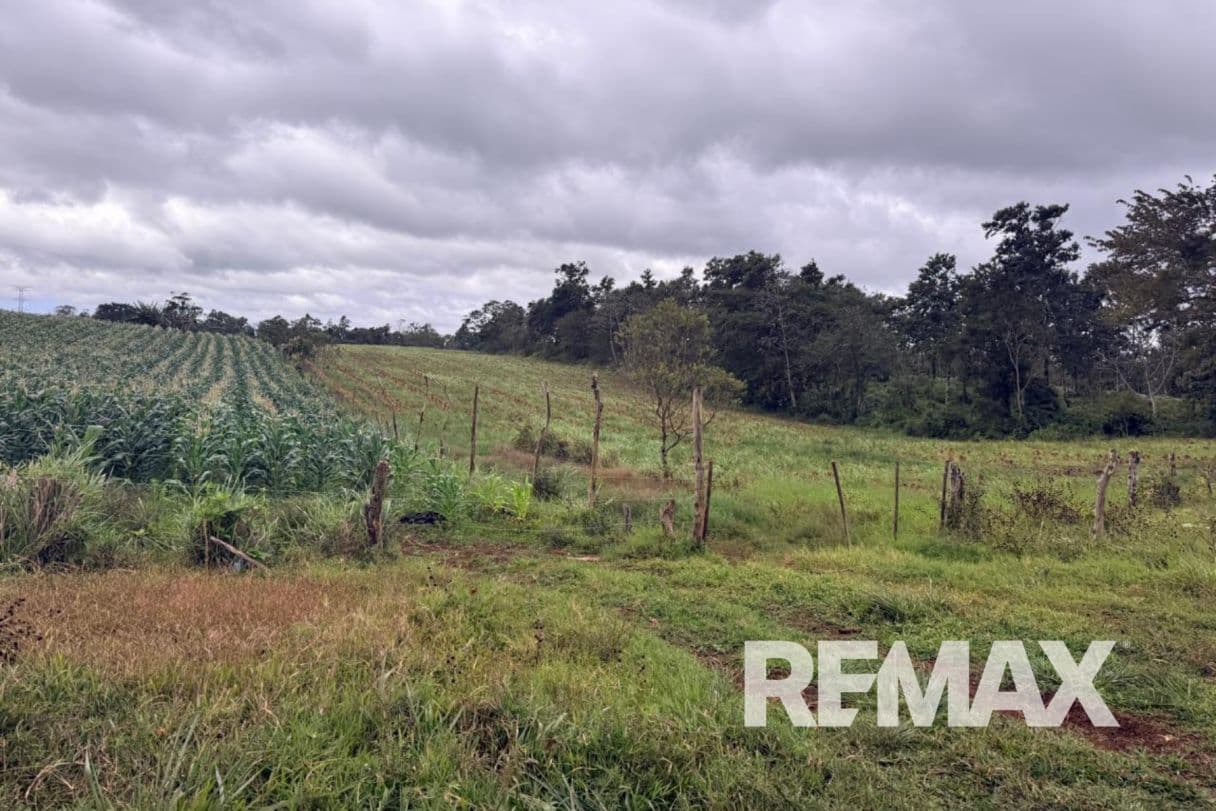 PRODUCTIVE FARM FOR SALE IN SANTA CECILIA, LA CRUZ – GUANACASTE, photo 7