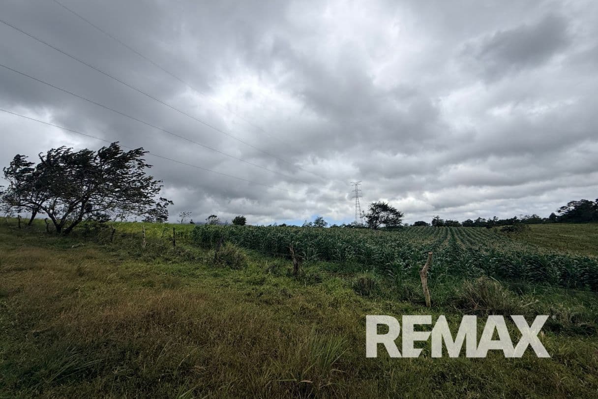 PRODUCTIVE FARM FOR SALE IN SANTA CECILIA, LA CRUZ – GUANACASTE, photo 22