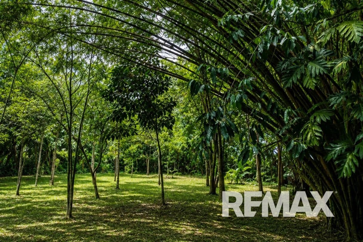 HOME FOR SALE IN LLANO AZUL, UPALA, COSTA RICA, photo 27