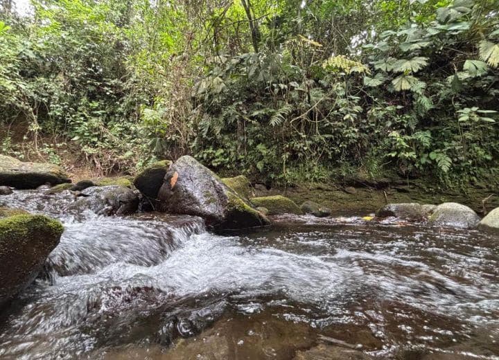 Habana River Lodge Eco Lodge for Sale in La Fortuna Costa Rica