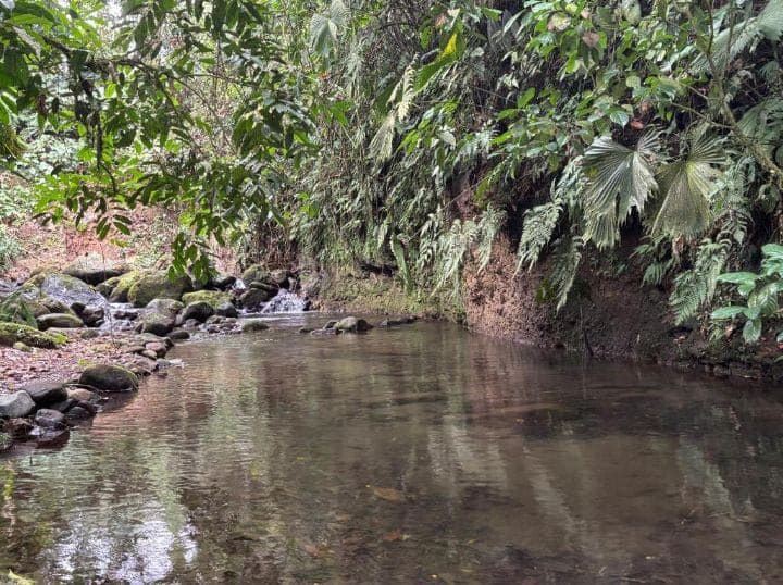 Habana River Lodge Eco Lodge for Sale in La Fortuna Costa Rica, photo 7