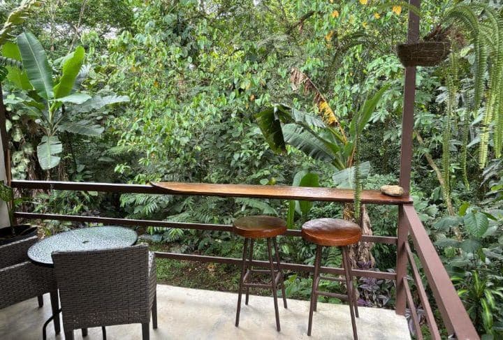 Habana River Lodge Eco Lodge for Sale in La Fortuna Costa Rica, photo 11