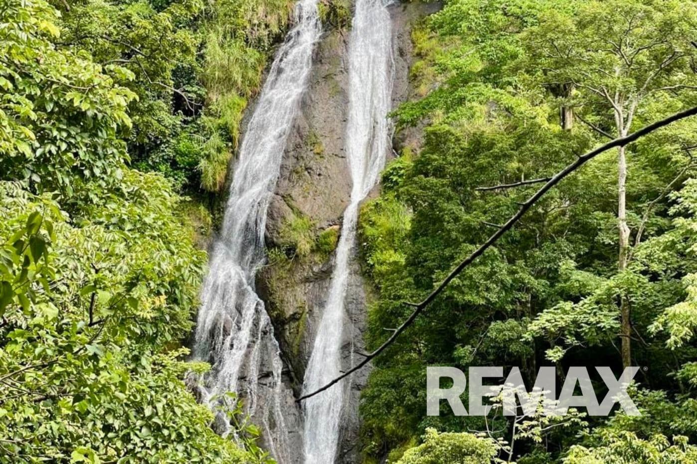 Eco farm Senderos de Viento Fresco An Exceptional Investment Combining Water, Nature, and Productivity