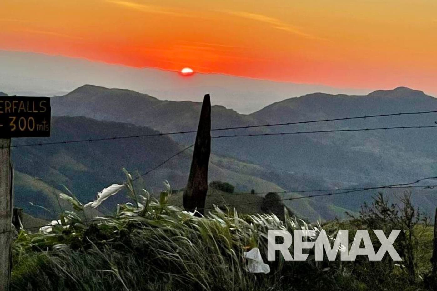 Eco farm Senderos de Viento Fresco An Exceptional Investment Combining Water, Nature, and Productivity, photo 5