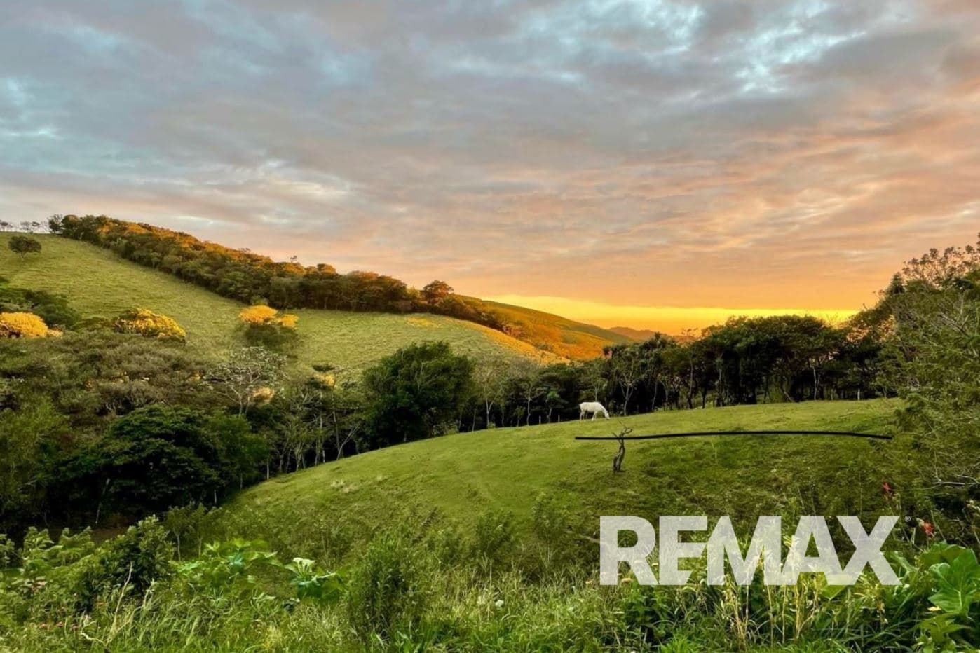 Eco farm Senderos de Viento Fresco An Exceptional Investment Combining Water, Nature, and Productivity, photo 6
