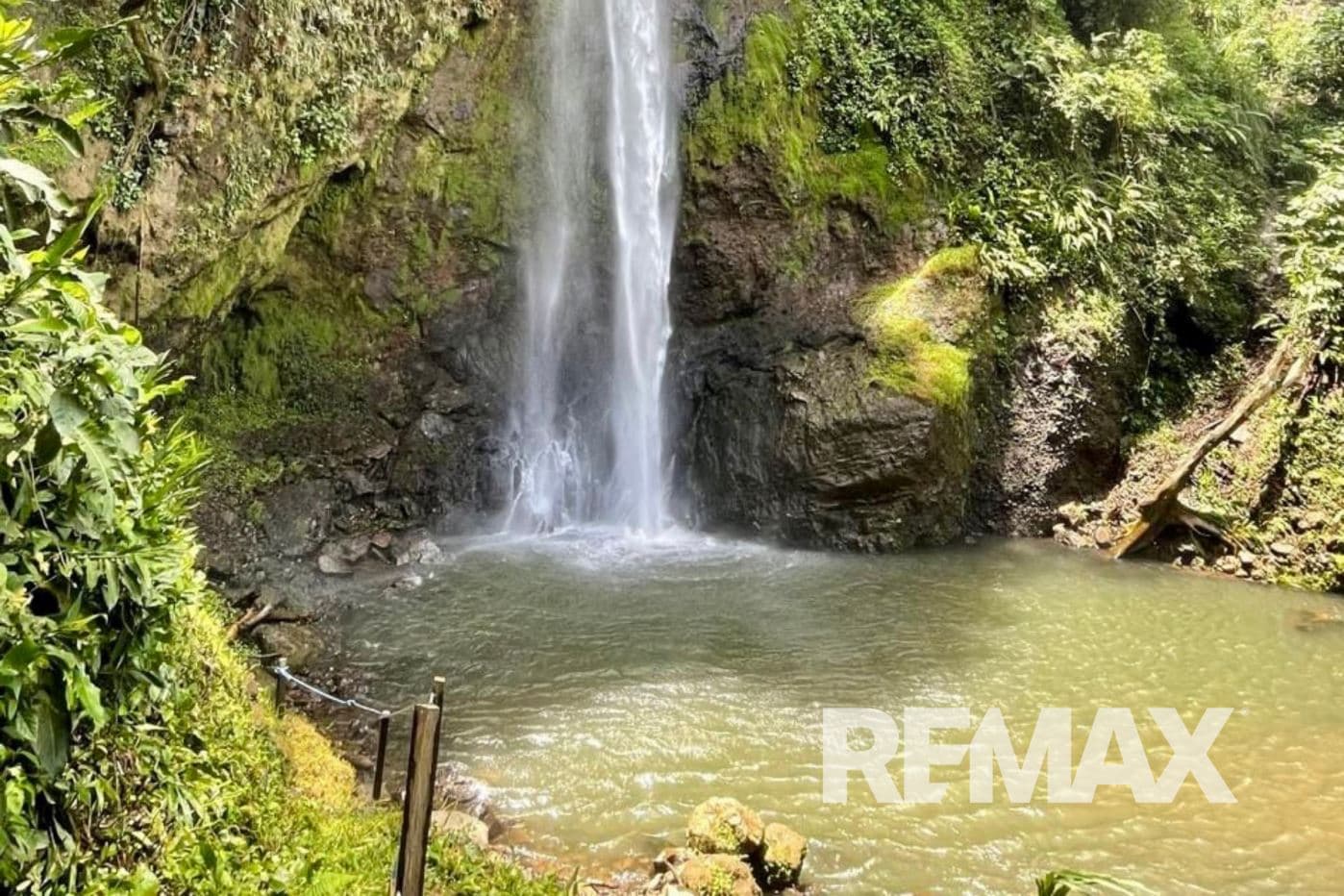 Eco farm Senderos de Viento Fresco An Exceptional Investment Combining Water, Nature, and Productivity, photo 8