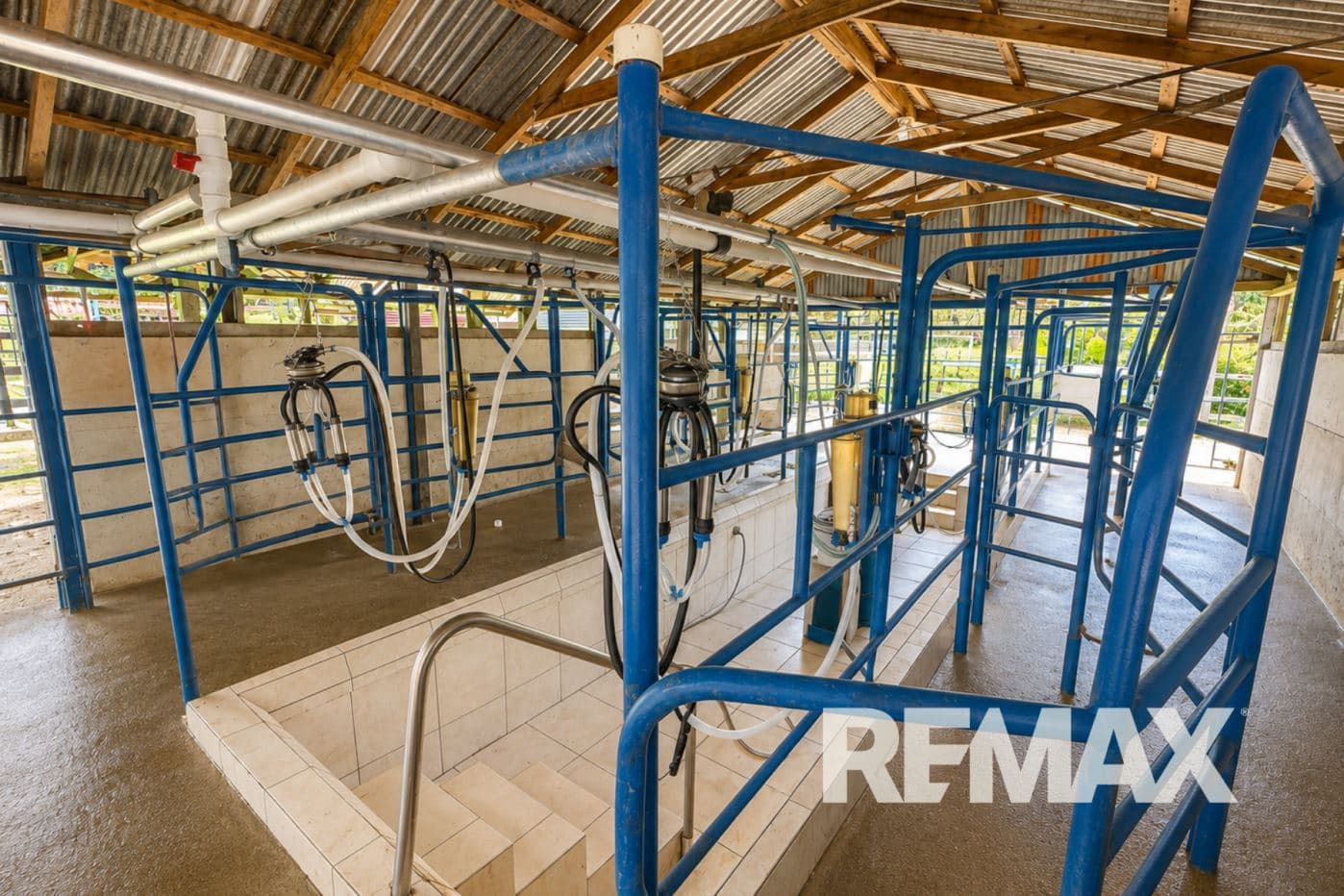 Cattle ranch near Lake Arenal, photo 3