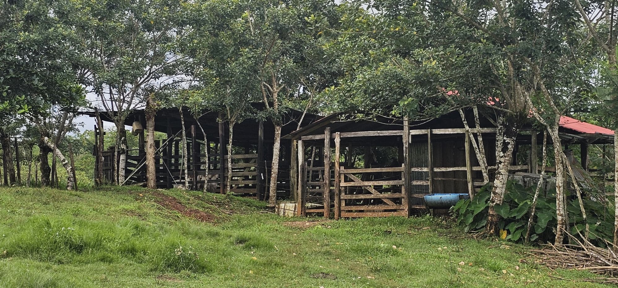 Fully Fenced 78,000m² Farm with Two Homes, Stables & Water Sources – Pocosol, San Carlos, photo 20