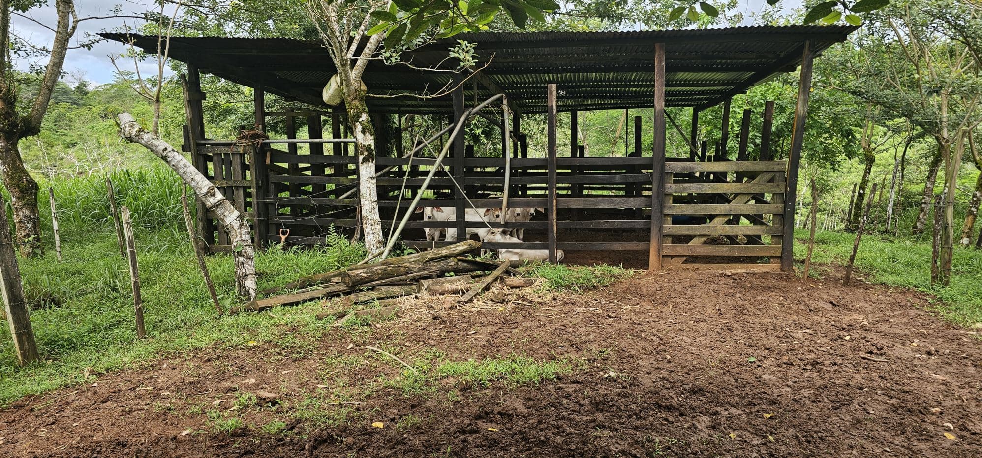 Fully Fenced 78,000m² Farm with Two Homes, Stables & Water Sources – Pocosol, San Carlos, photo 18