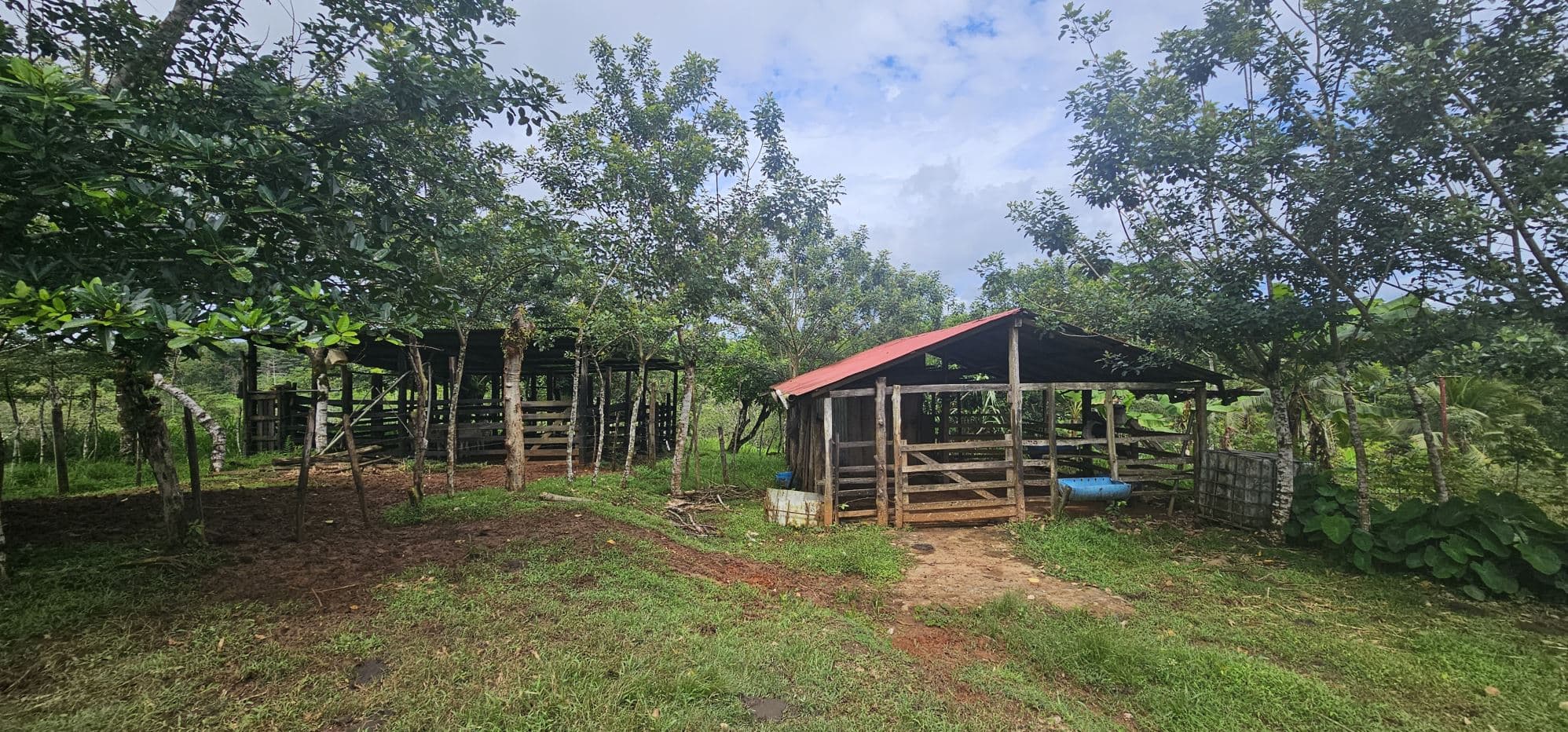 Fully Fenced 78,000m² Farm with Two Homes, Stables & Water Sources – Pocosol, San Carlos, photo 19