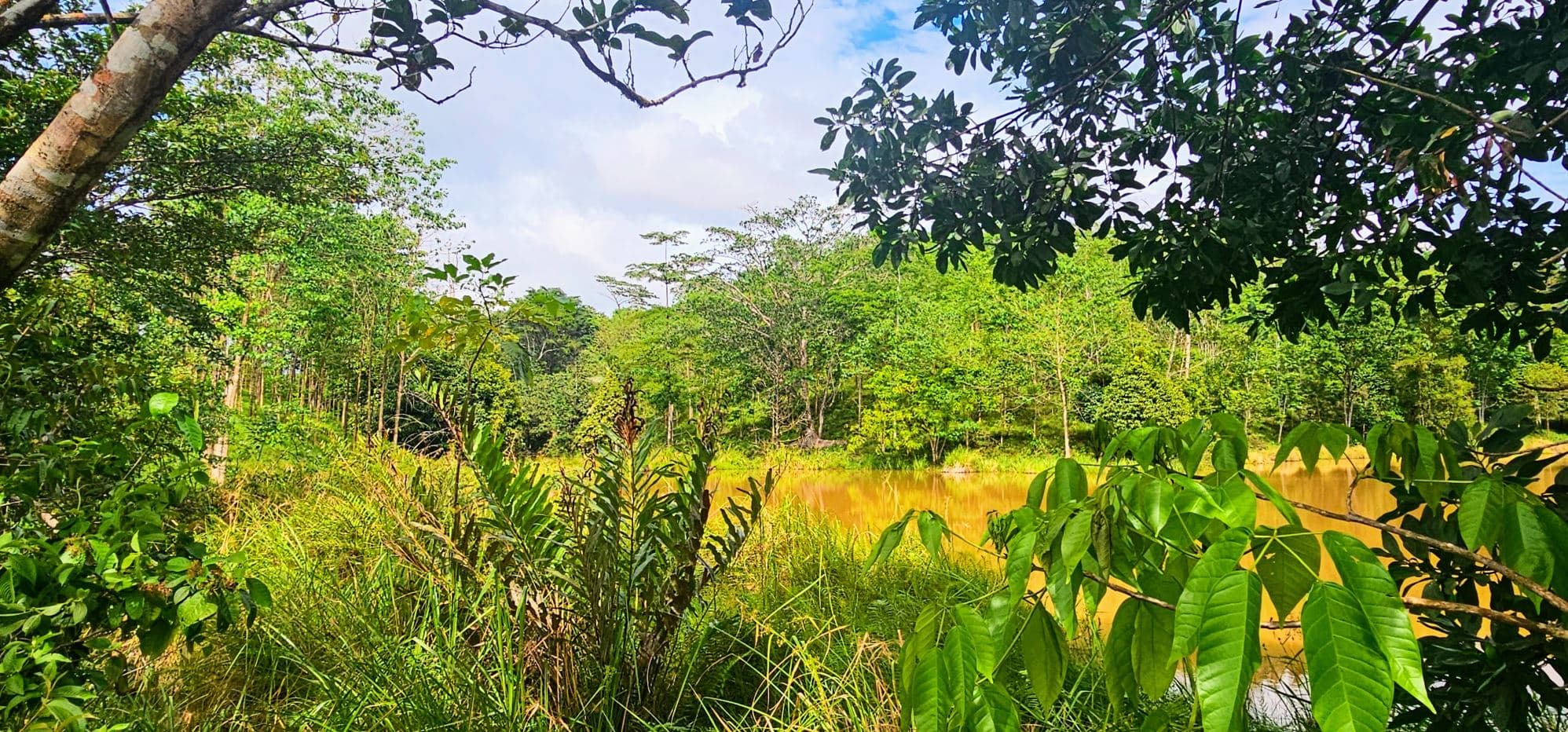 Fully Fenced 78,000m² Farm with Two Homes, Stables & Water Sources – Pocosol, San Carlos, photo 22