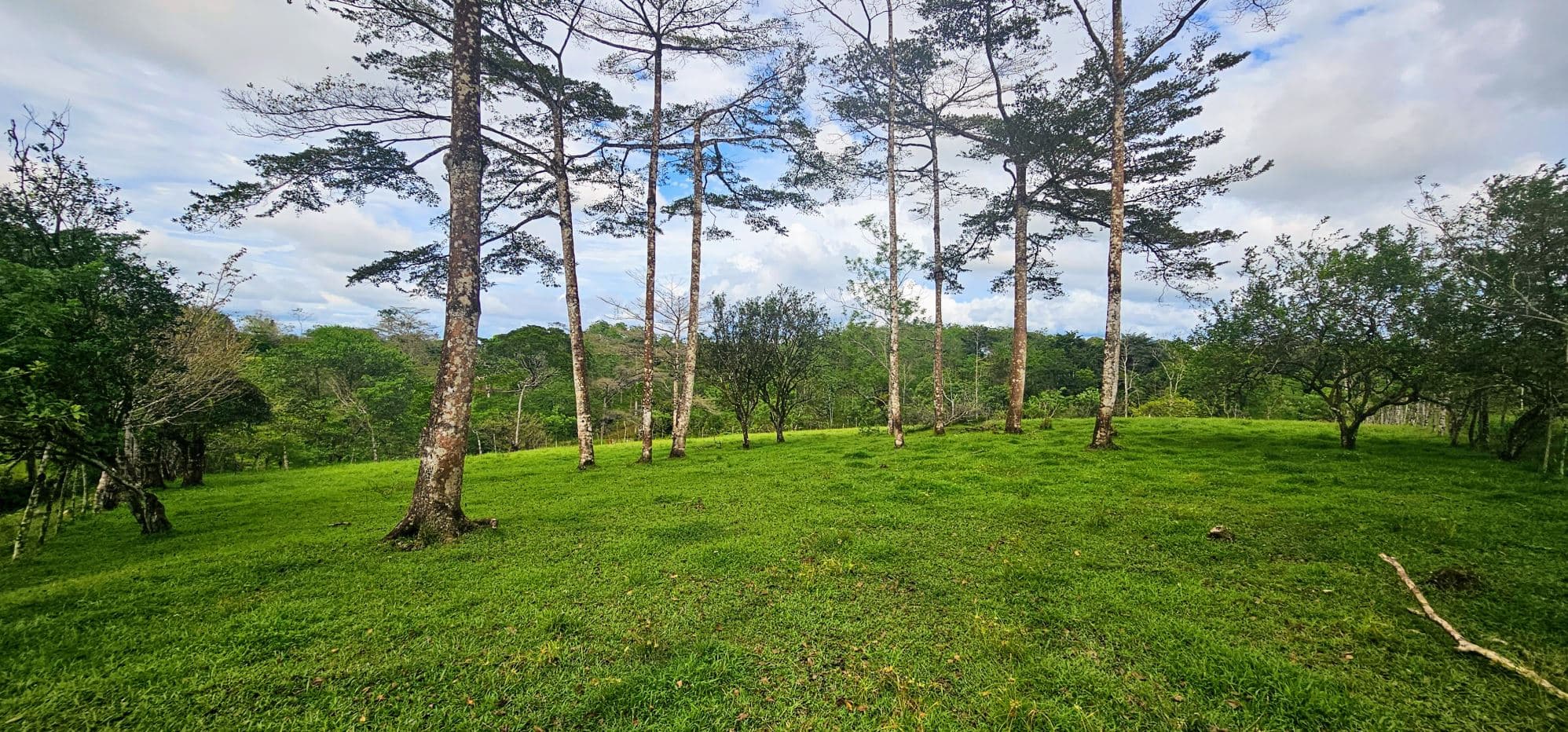 Fully Fenced 78,000m² Farm with Two Homes, Stables & Water Sources – Pocosol, San Carlos, photo 23