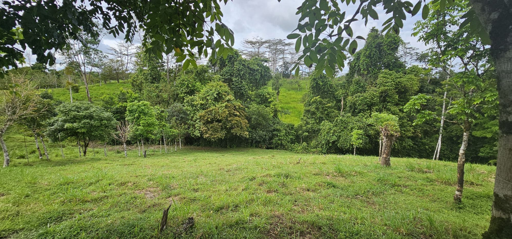 Fully Fenced 78,000m² Farm with Two Homes, Stables & Water Sources – Pocosol, San Carlos, photo 25