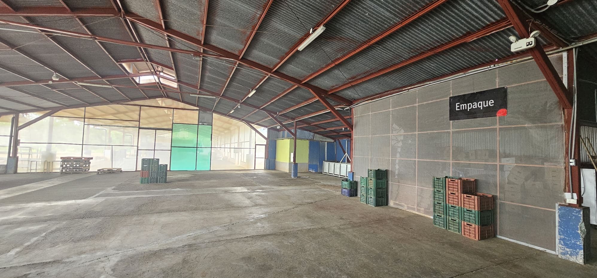 100,000+ m² Agricultural Investment with Established Packing & Processing Facility, photo 8