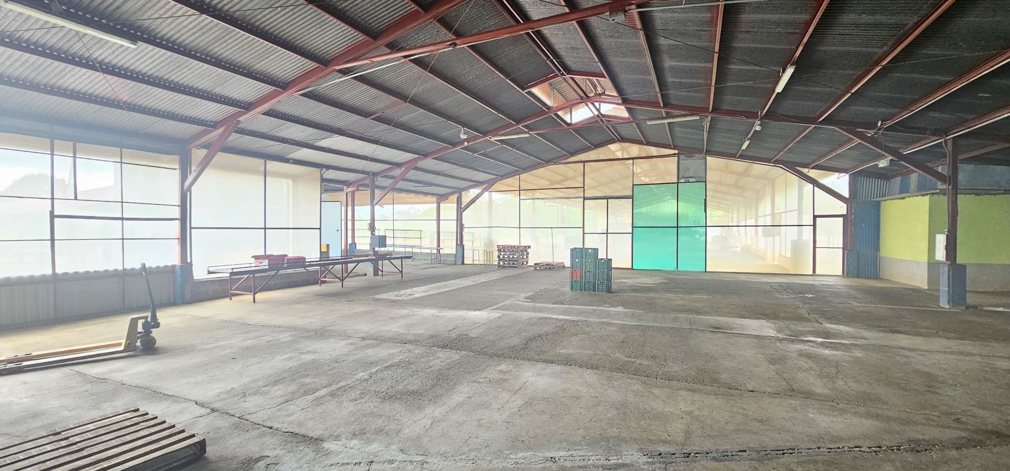 100,000+ m² Agricultural Investment with Established Packing & Processing Facility, photo 3