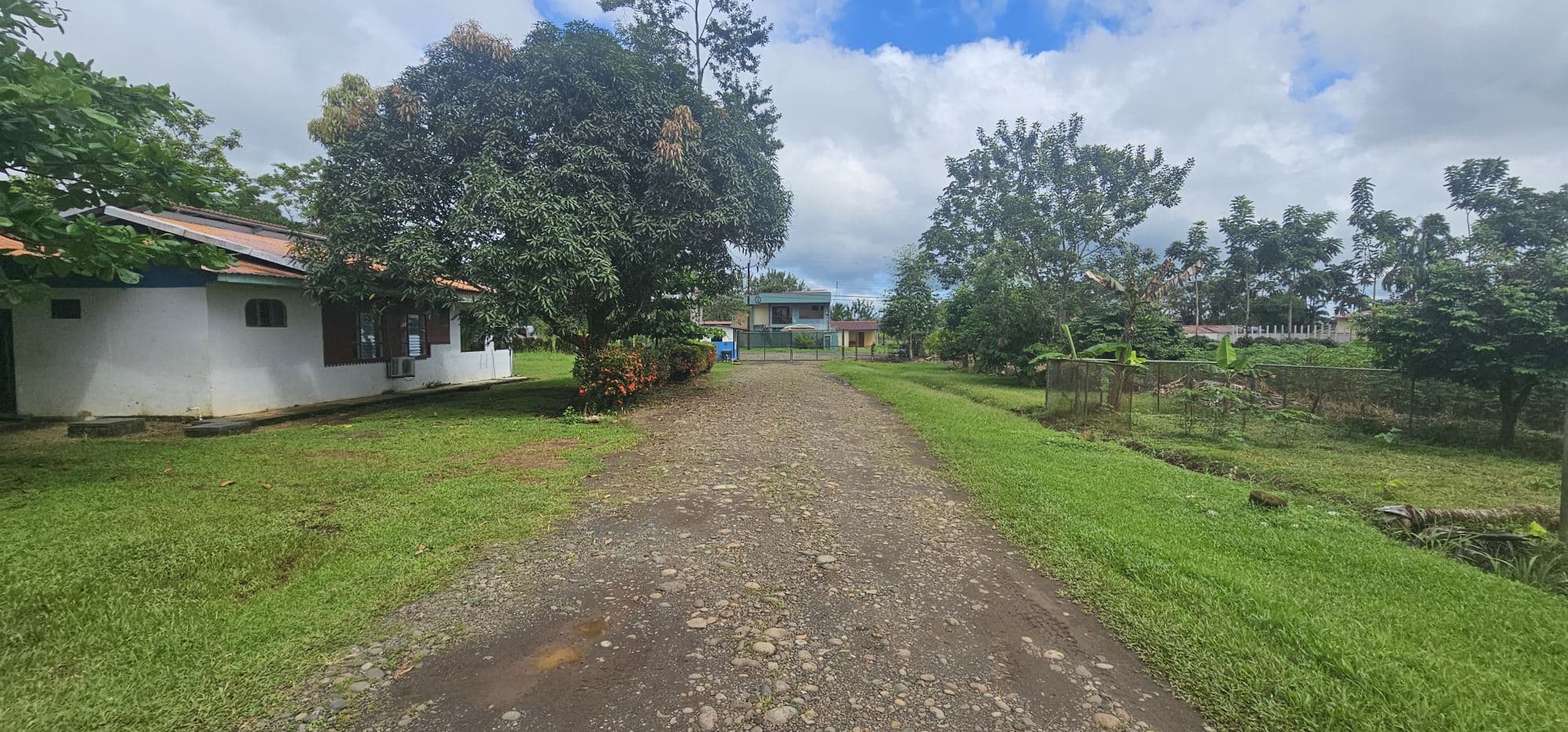 100,000+ m² Agricultural Investment with Established Packing & Processing Facility, photo 5