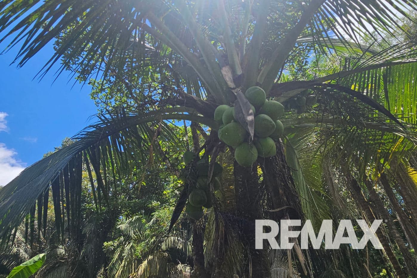 Riverfront Property with Expansion Potential Near La Fortuna – 2,918 m² + Additional 2,000 m² Usage Rights, photo 3