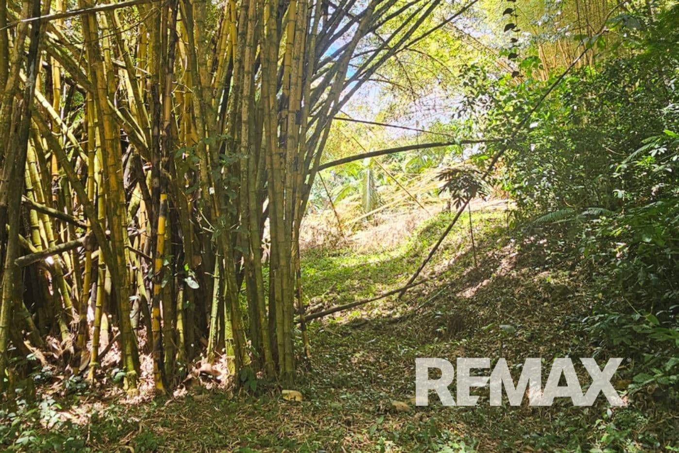 Riverfront Property with Expansion Potential Near La Fortuna – 2,918 m² + Additional 2,000 m² Usage Rights, photo 8