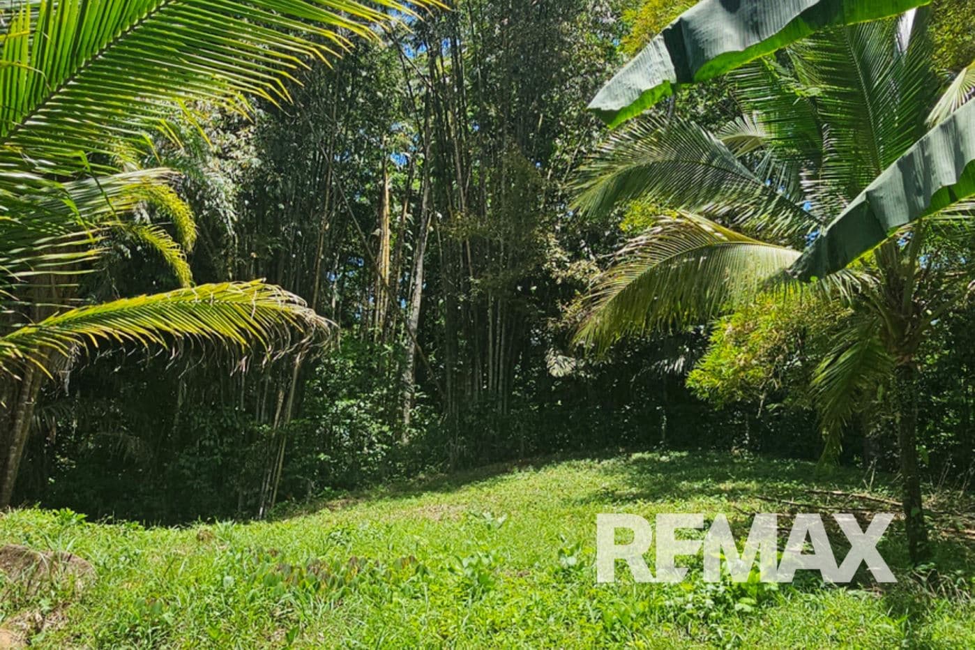 Riverfront Property with Expansion Potential Near La Fortuna – 2,918 m² + Additional 2,000 m² Usage Rights, photo 9