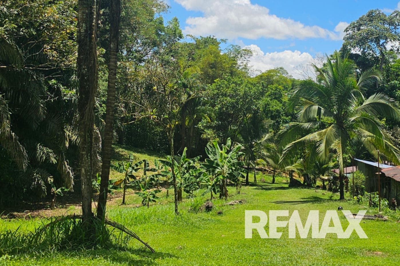Riverfront Property with Expansion Potential Near La Fortuna – 2,918 m² + Additional 2,000 m² Usage Rights, photo 18