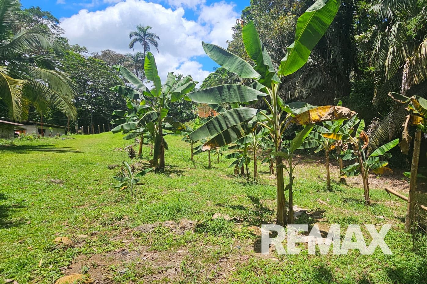Riverfront Property with Expansion Potential Near La Fortuna – 2,918 m² + Additional 2,000 m² Usage Rights, photo 17