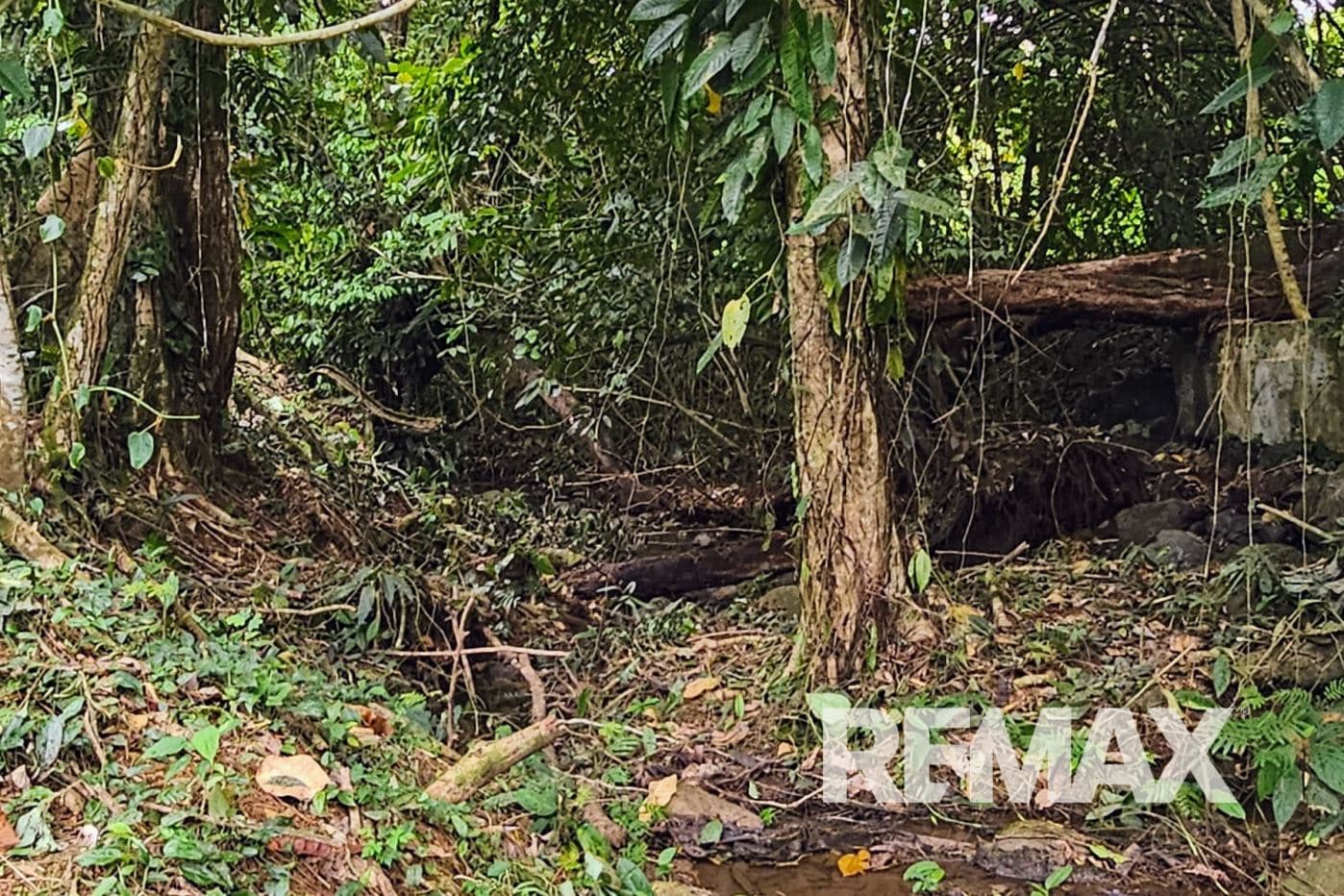 Beautiful Riverside Property in La Tigra – Great Value at ¢50,000,000, photo 6
