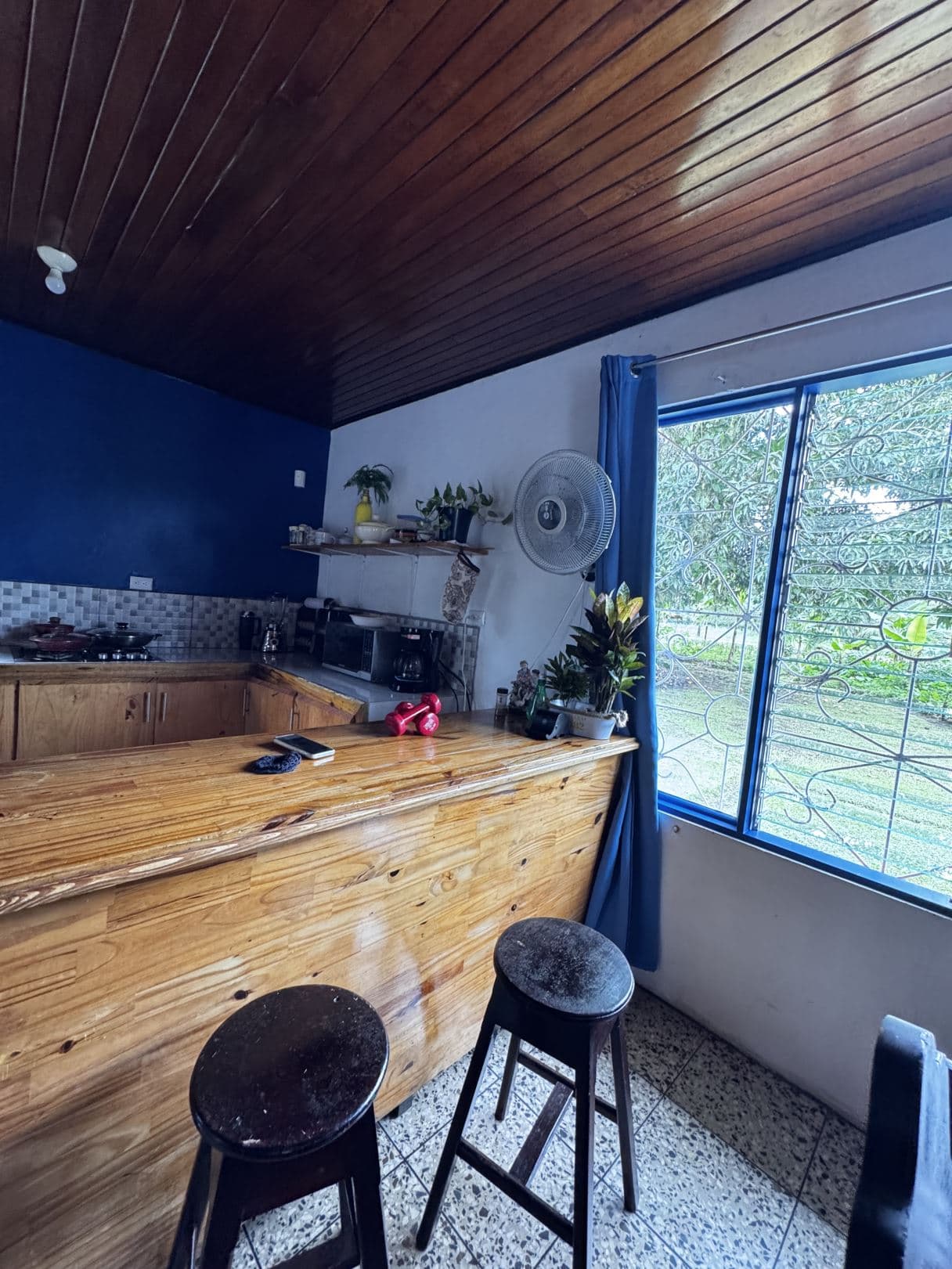 For Sale 5 Bedroom House Near La Fortuna with Fruit Trees and Large Lot, photo 10