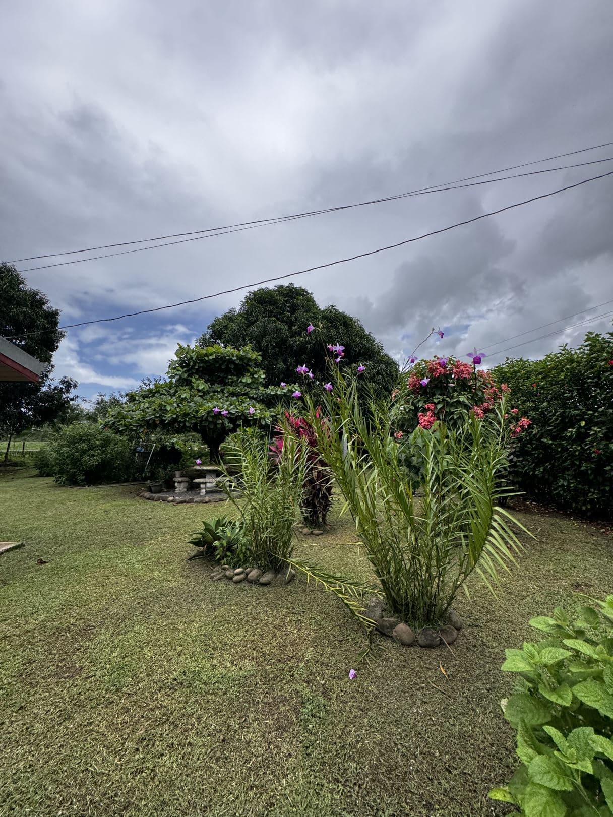 For Sale 5 Bedroom House Near La Fortuna with Fruit Trees and Large Lot, photo 6