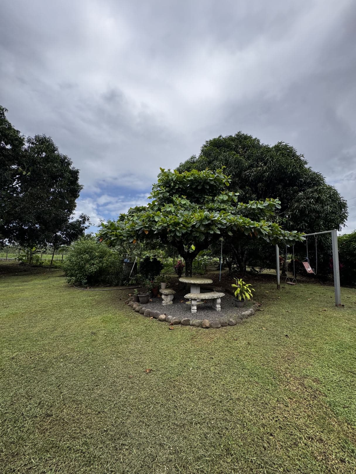 For Sale 5 Bedroom House Near La Fortuna with Fruit Trees and Large Lot, photo 13