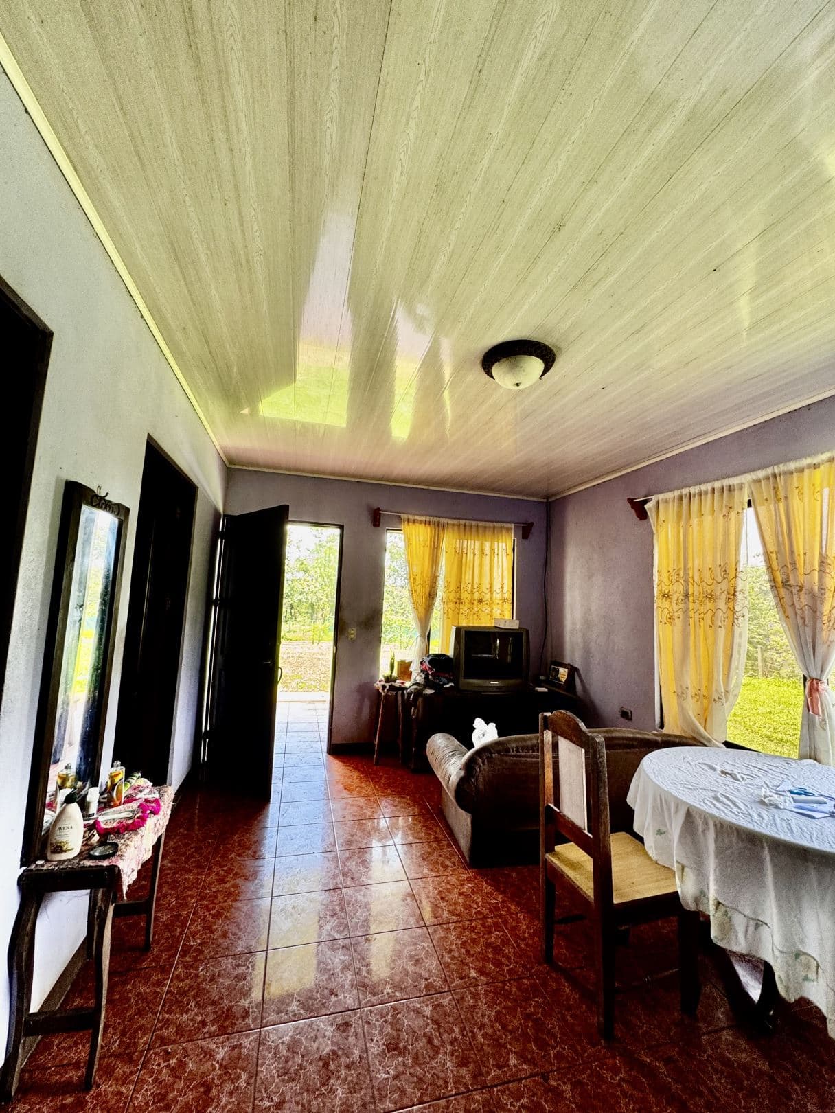house for sale big property San Carlos Costa Rica, photo 3