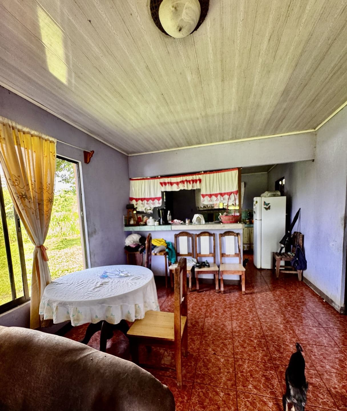 house for sale big property San Carlos Costa Rica, photo 2