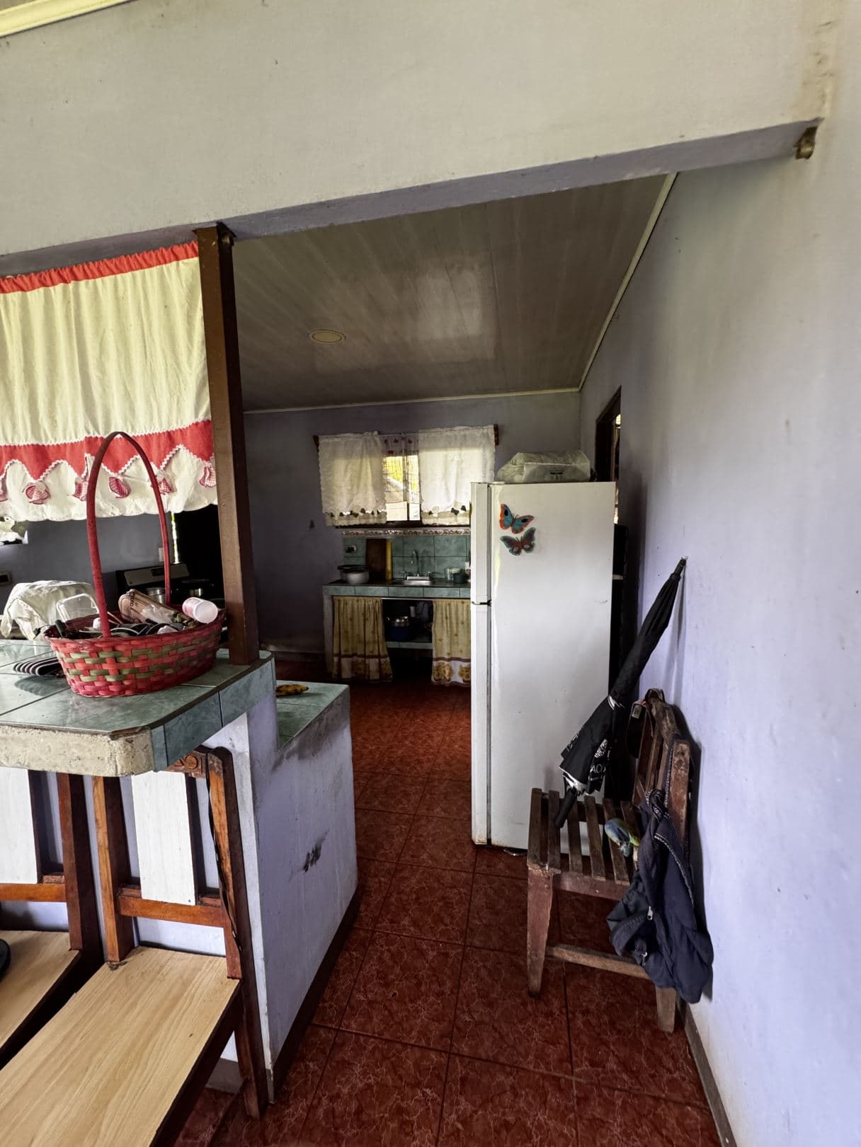 house for sale big property San Carlos Costa Rica, photo 4