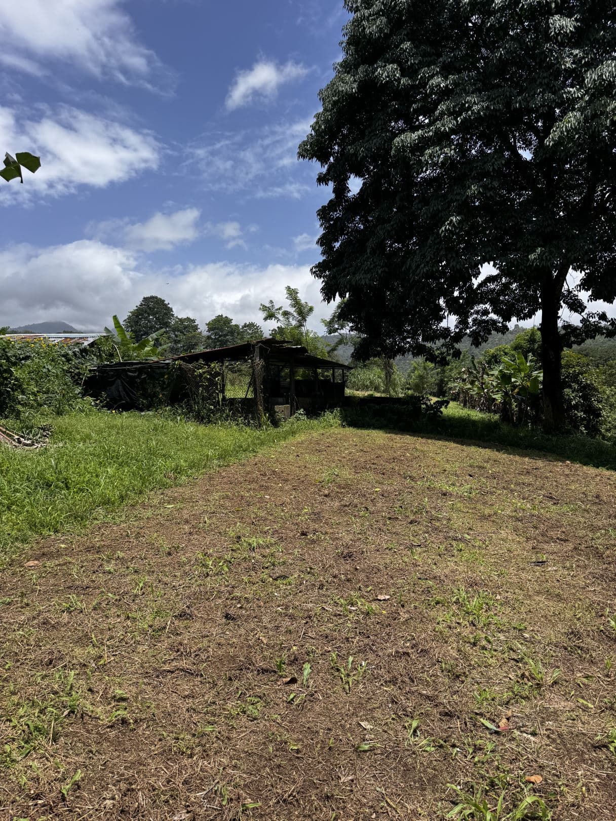 house for sale big property San Carlos Costa Rica, photo 9