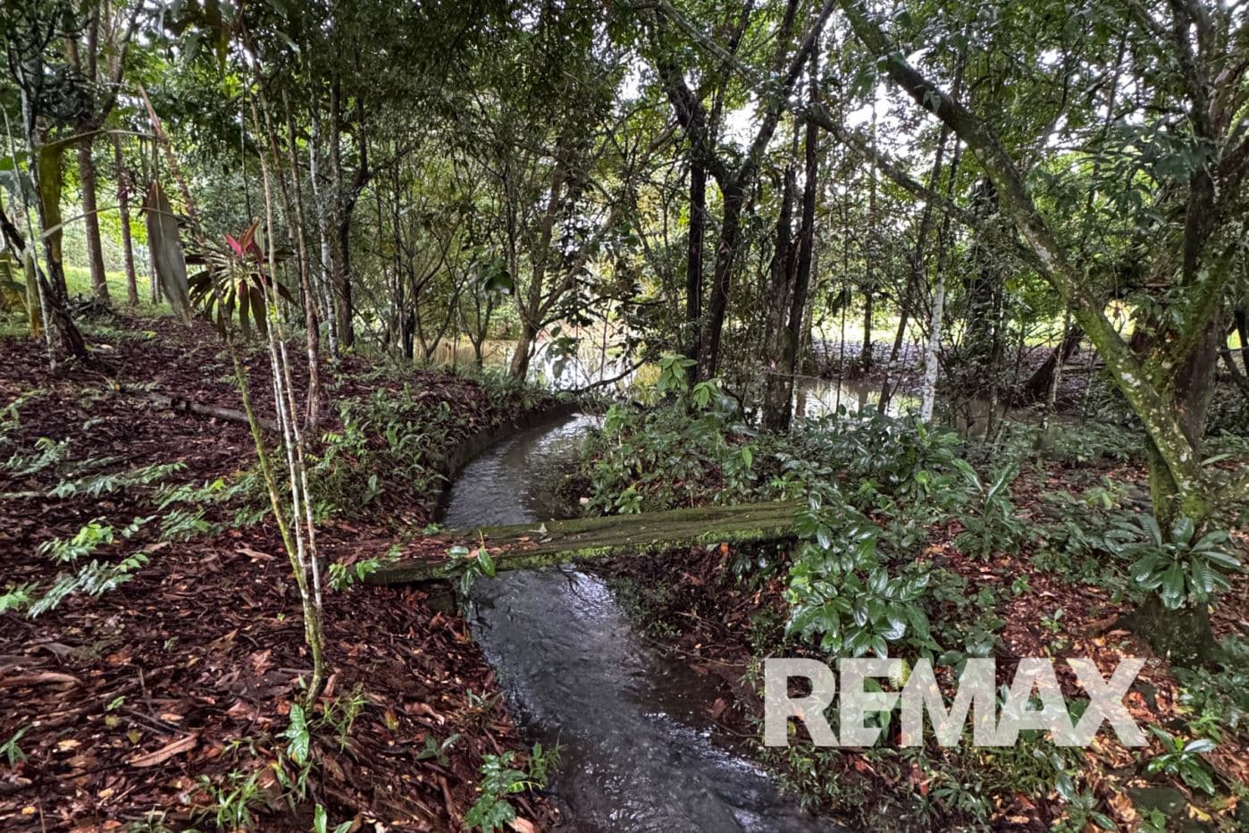 Almost 2acres Property, house with Pool, Lake, and BBQ Area, photo 16