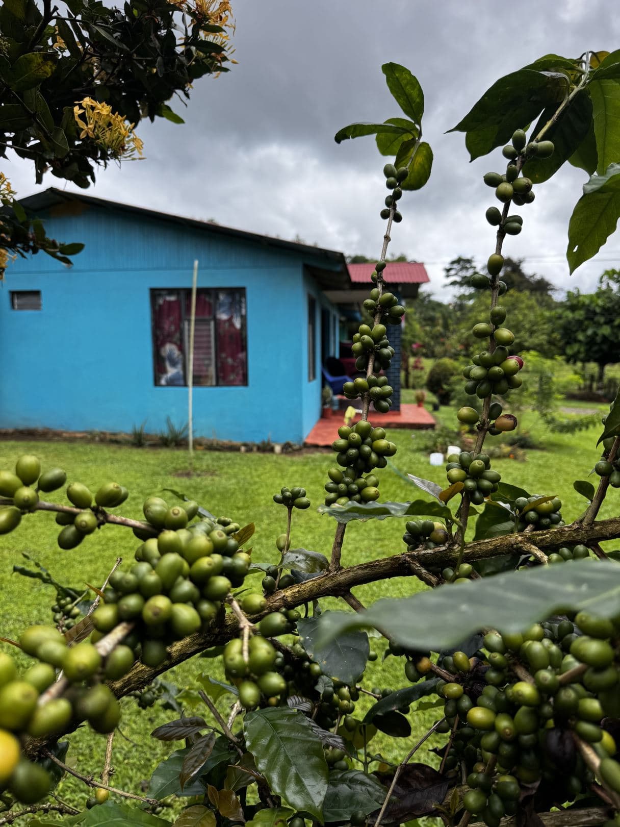 Spacious Property with Fruit Trees and Home for Sale – $85000, photo 24