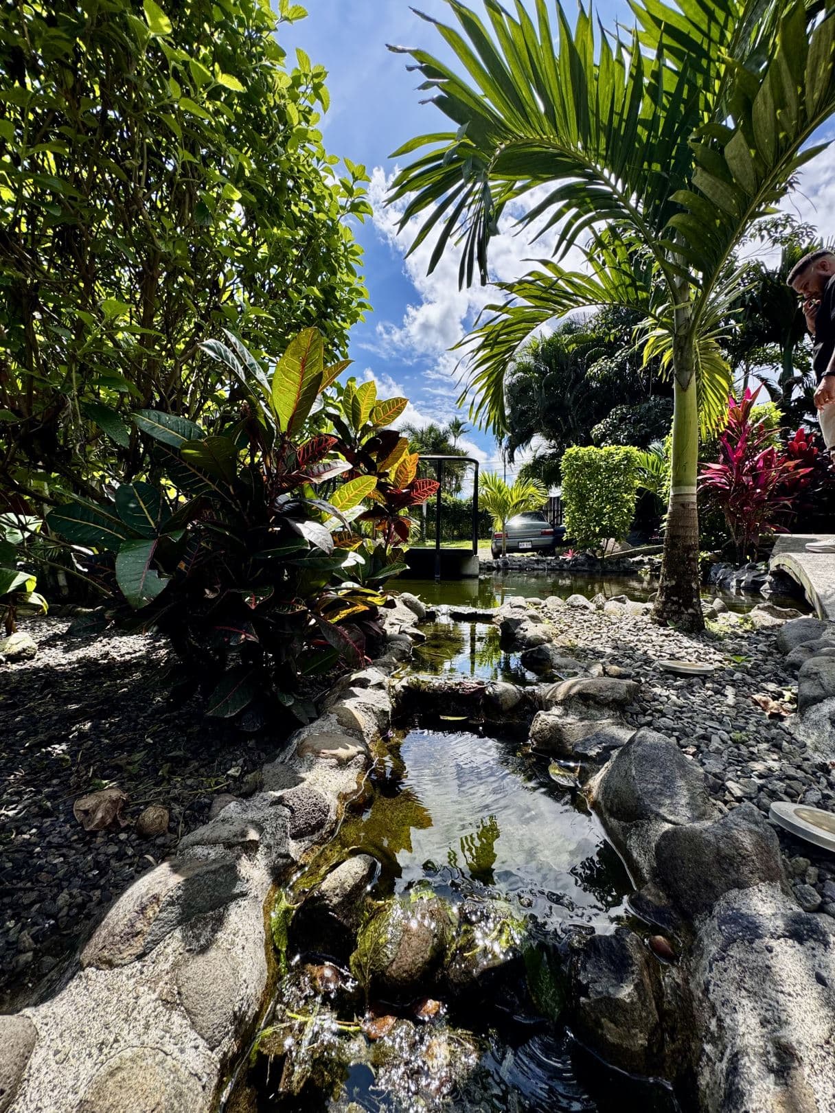 Turn-Key Hotel for Sale in La Fortuna, Costa Rica – Strong Income in the Country’s Most Touristic Area, photo 31