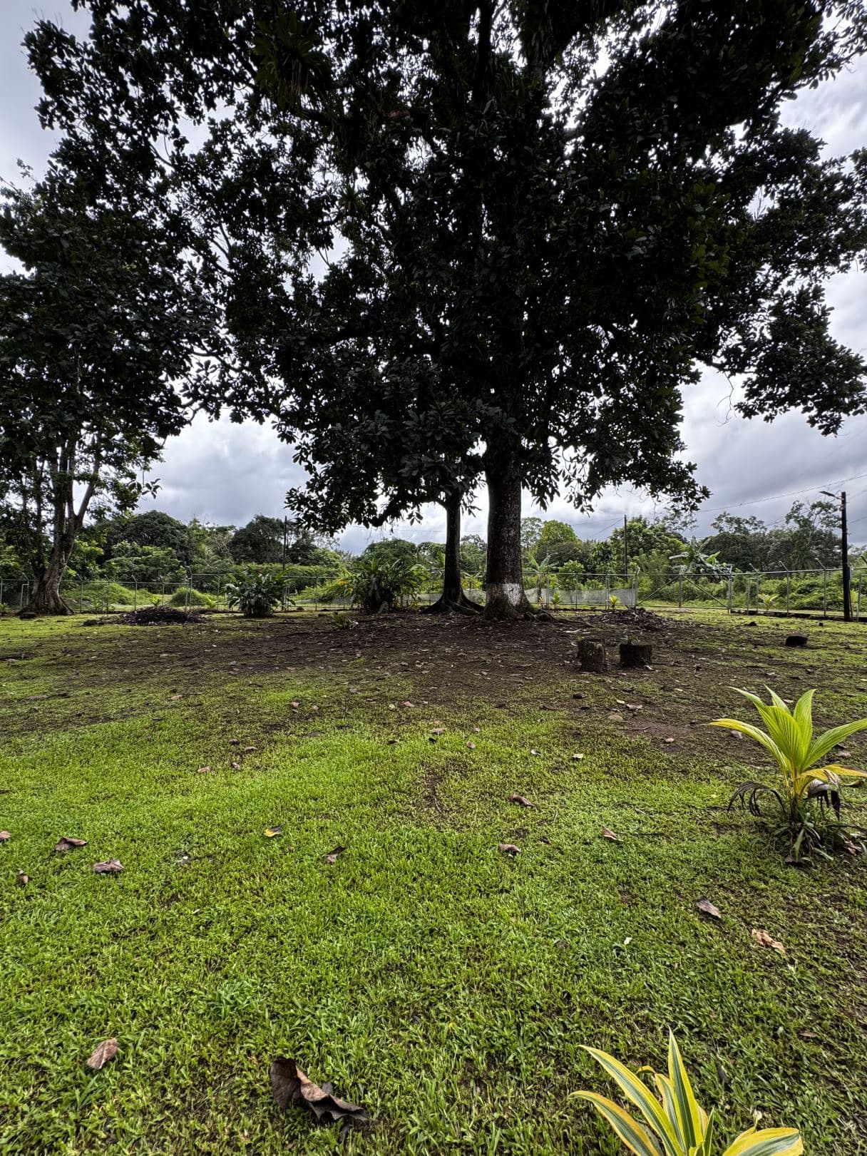 For Sale Eco-Friendly Cabin Surrounded by Nature 40 Minutes from La Fortuna, photo 24
