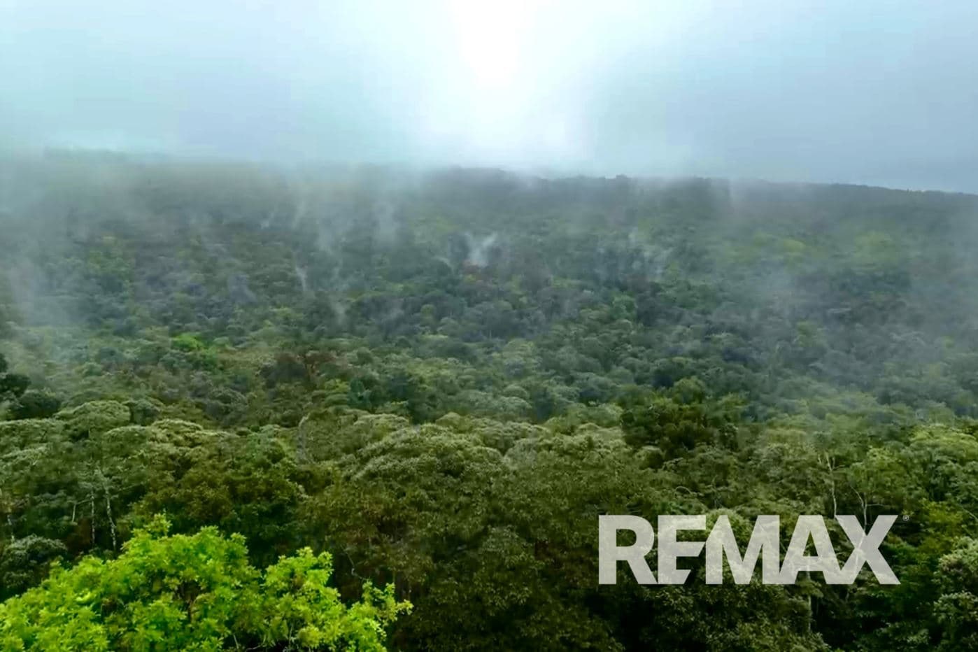 757 Hectares of Cloud Forest for Sale in Costa Rica – Ideal for Carbon Credits, Conservation and Wellness Development, photo 3
