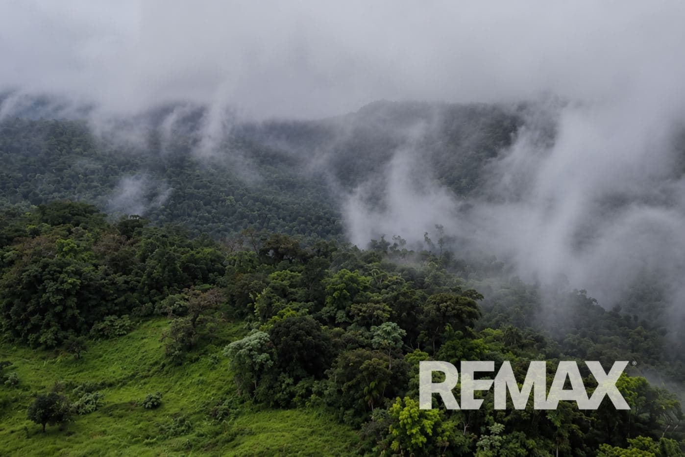 757 Hectares of Cloud Forest for Sale in Costa Rica – Ideal for Carbon Credits, Conservation and Wellness Development, photo 5