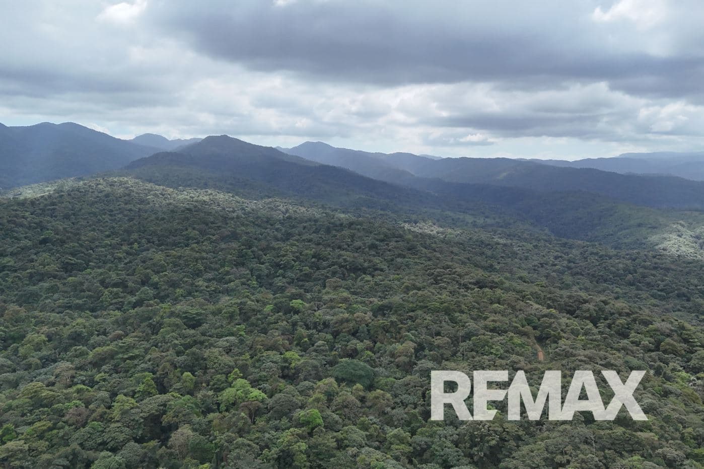 757 Hectares of Cloud Forest for Sale in Costa Rica – Ideal for Carbon Credits, Conservation and Wellness Development, photo 10