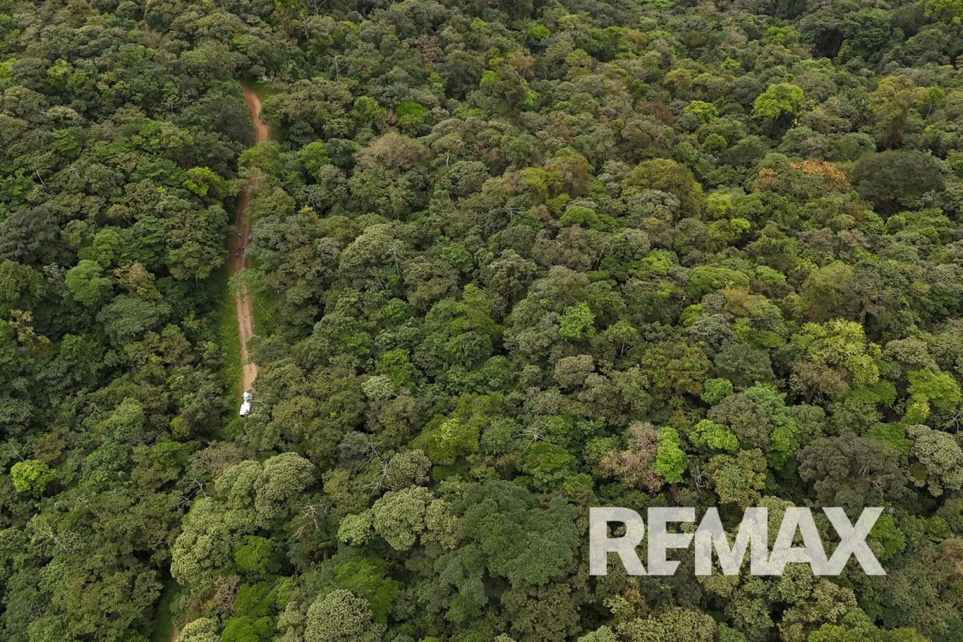 757 Hectares of Cloud Forest for Sale in Costa Rica – Ideal for Carbon Credits, Conservation and Wellness Development, photo 14