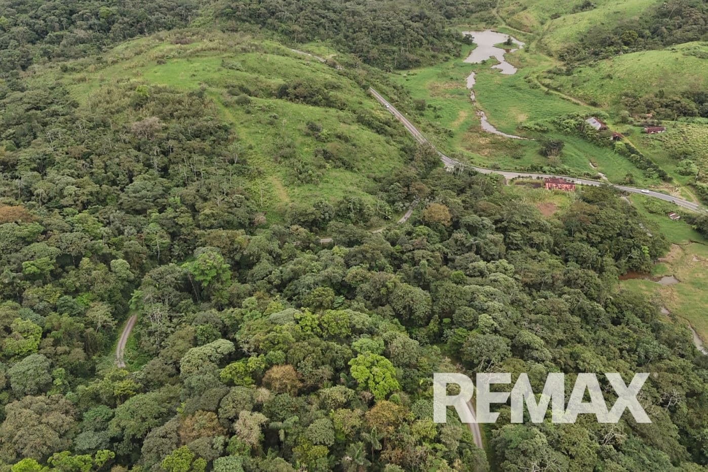 757 Hectares of Cloud Forest for Sale in Costa Rica – Ideal for Carbon Credits, Conservation and Wellness Development, photo 13