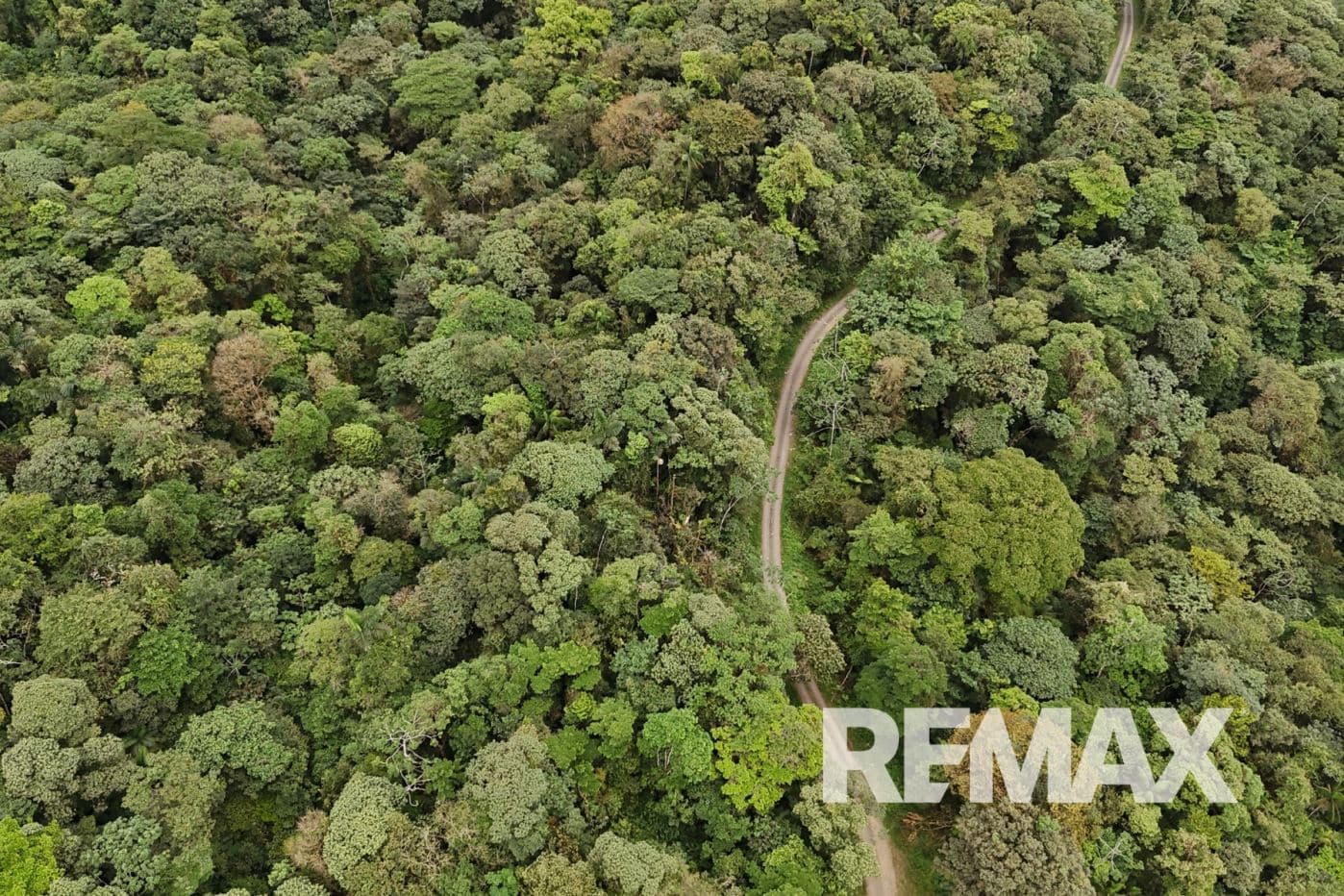 757 Hectares of Cloud Forest for Sale in Costa Rica – Ideal for Carbon Credits, Conservation and Wellness Development, photo 9