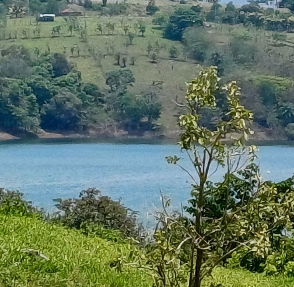 Custom-Built 2 Bedroom Lakeview Home in Tranquil San Luis, Tilaran, Guanacaste, photo 14