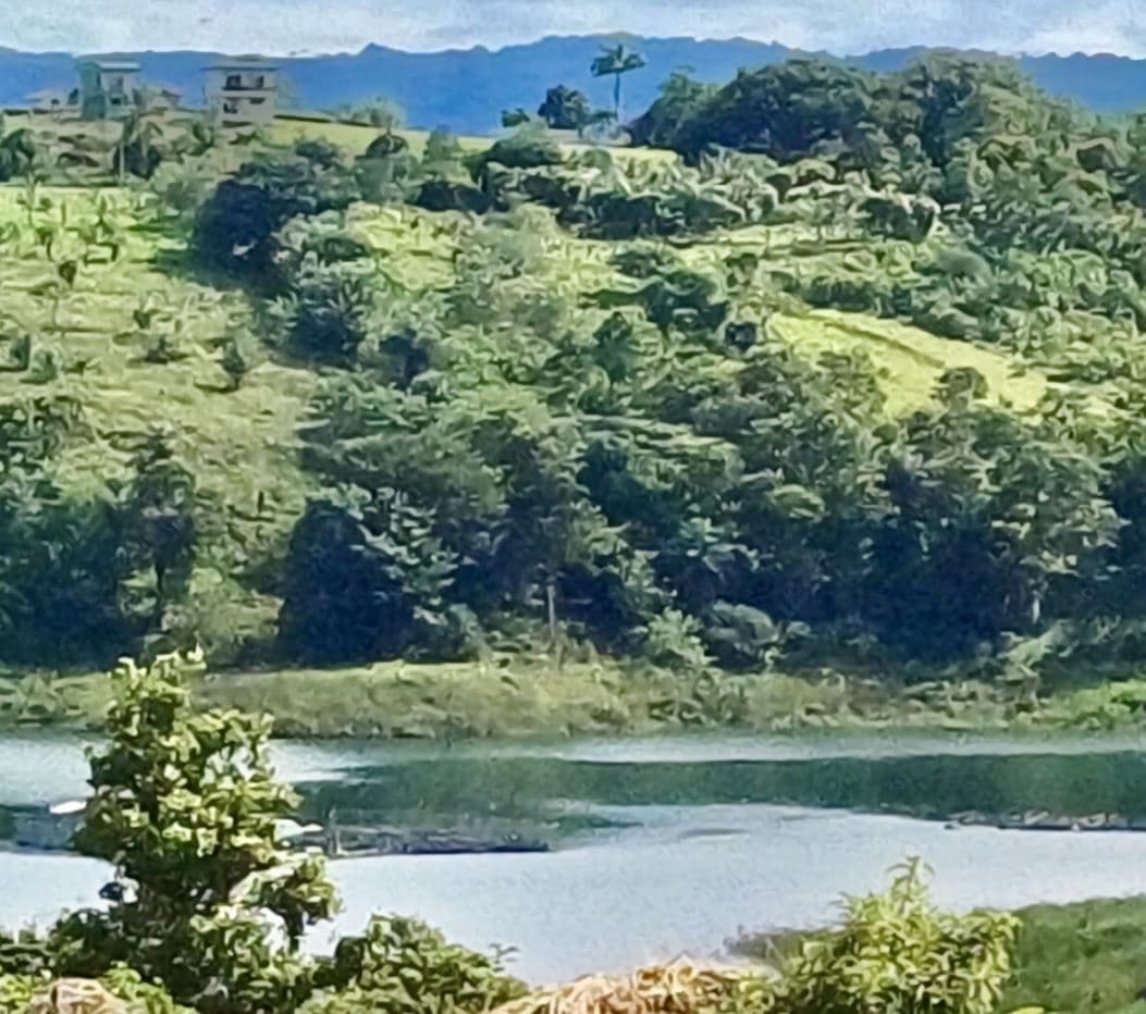 Peaceful Lake View Lot in San Luis, Tilaran, Guanacaste, photo 10